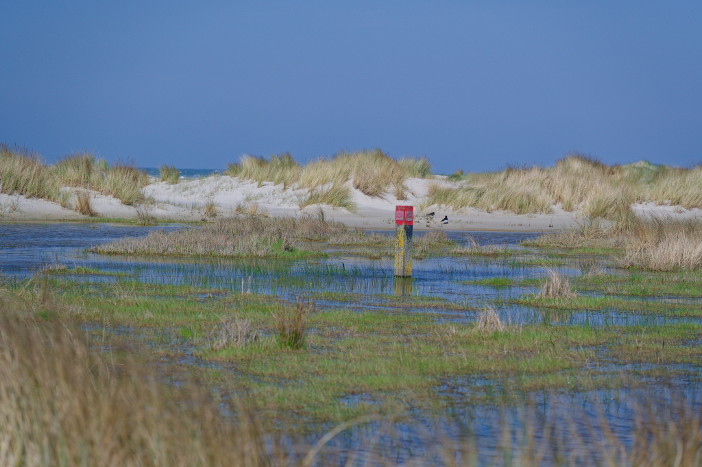 Terschelling 2024