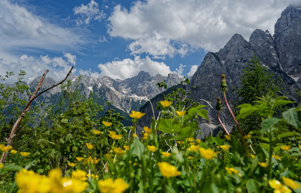 Slovenië